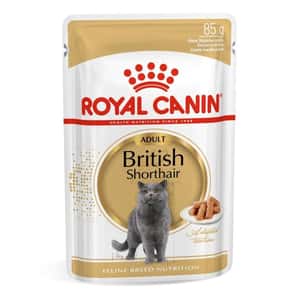 Royal Canin 法國皇家 貓罐頭 Royal Canin 法國皇家 貓濕糧 英國短毛成貓專屬主食濕糧 (肉汁) 85g