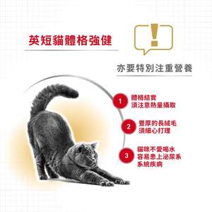 Royal Canin 法國皇家 貓濕糧 英國短毛成貓專屬主食濕糧 (肉汁) 85g (圖片4)