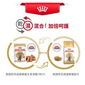 Royal Canin 法國皇家 貓濕糧 英國短毛成貓專屬主食濕糧 (肉汁) 85g (圖片7)