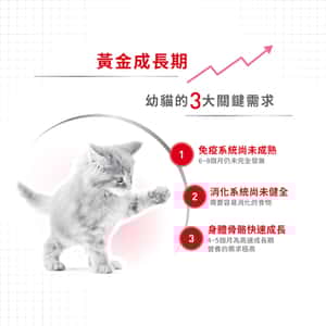 Royal Canin 法國皇家 Kitten 貓濕糧 幼貓營養主食濕糧 (啫喱) 85g (圖片4)