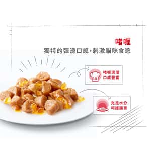 Royal Canin 法國皇家 貓濕糧 成貓理想體態營養主食濕糧 (啫喱) 85g (圖片6)