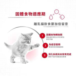 Royal Canin 法國皇家 貓濕糧 離乳貓及母貓營養主食罐頭 BB02 195g (3077200) (圖片3)