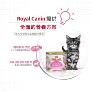Royal Canin 法國皇家 貓濕糧 離乳貓及母貓營養主食罐頭 BB02 195g (3077200) (圖片4)