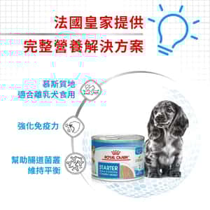 Royal Canin 法國皇家 狗濕糧 健康營養系列 初生犬及母犬營養主食罐頭 初生BB慕絲 195g (3074700) (圖片5)