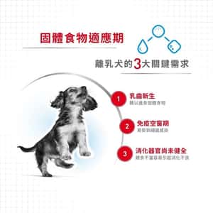 Royal Canin 法國皇家 狗濕糧 健康營養系列 初生犬及母犬營養主食罐頭 初生BB慕絲 195g (3074700) (圖片4)