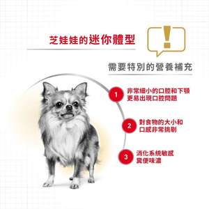 Royal Canin 法國皇家 狗濕糧 芝娃娃成犬專屬主食濕糧 (肉塊) 85g (圖片4)