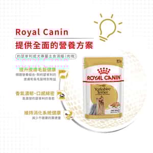 Royal Canin 法國皇家 狗濕糧 約瑟爹利成犬專屬主食濕糧 (肉塊) 85g (圖片5)