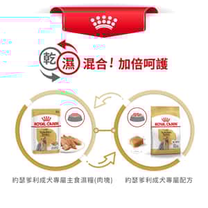 Royal Canin 法國皇家 狗濕糧 約瑟爹利成犬專屬主食濕糧 (肉塊) 85g (圖片7)
