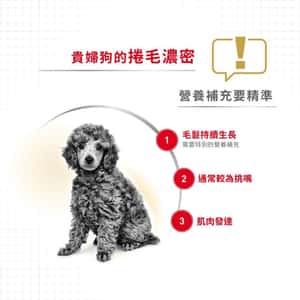 Royal Canin 法國皇家 狗濕糧 貴婦狗成犬專屬主食濕糧 (肉塊) 85g (圖片4)