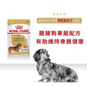 Royal Canin 法國皇家 狗濕糧 臘腸狗成犬專屬主食濕糧 (肉塊) 85g (圖片3)