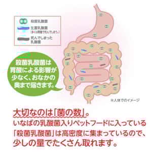 CIAO 貓零食 日本貓用營養膏 乳酸菌營養膏 雞肉味 80g (橙) (CS-153) (圖片3)