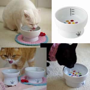 日本猫壱 necoichi ペット 陶瓷闊圓寵物水碗 (糖果款) (貓犬用) DC-0704-SC01 (圖片4)