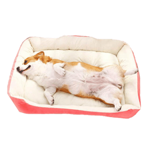 貓犬用日常用品推薦：寵物床 防滑厚身 M碼 70 (粉紅) (貓犬用)