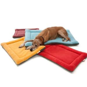 寵物床墊用品 Downtown Pet Supply 寵物軟墊 平底 (黃) (貓犬用)