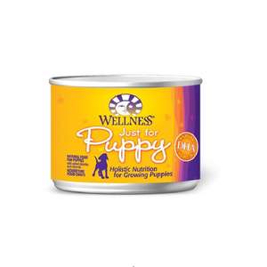 WELLNESS Core 狗罐頭 狗濕糧推薦：WELLNESS Complete Health 狗罐頭 幼犬配方 6oz