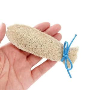 日本CattyMan 貓咪潔齒咬咬玩具配木天蓼粉末 小魚 (圖片3)