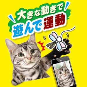 日本Petio 軟棉棉蜻蜓貓咪逗貓棒 (圖片4)