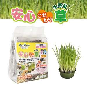 貓咪保健用品推薦：日本Petz Route 100％有機培養土 安心貓草 2回分