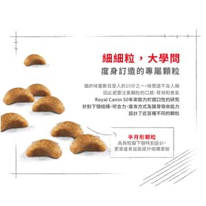 Royal Canin 貓糧 法國皇家貓糧 純種系列 英國短毛幼貓專屬配方 KBSH38 2kg (2519900) (圖片5)