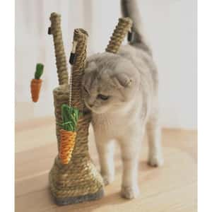 HelloDOG 玩具嚴選 貓抓柱 劍麻樹杈紅蘿蔔 (圖片3)