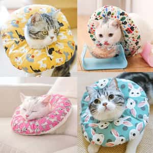 寵物防咬舒適頸圈 M碼 一個裝 (款式隨機) (圖片3)