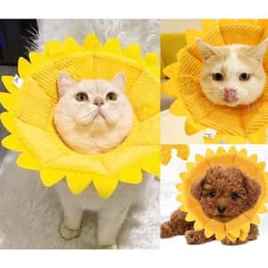 寵物超可愛防咬頸圈 向日葵 S碼 (圖片3)