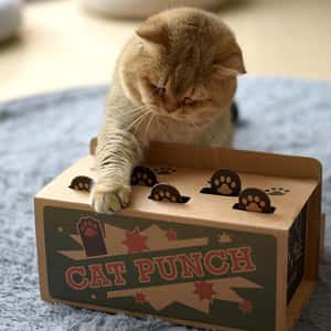 其他 貓玩具 貓咪必玩 貓玩具 瓦楞紙打地鼠玩具