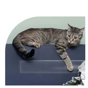 寵物沙發貓咪 透明防抓防刮保護貼 (圖片3)