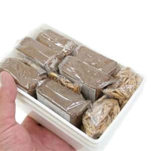 日本CattyMan ASAP 生野菜貓草 6回份量 (停售) (圖片3)