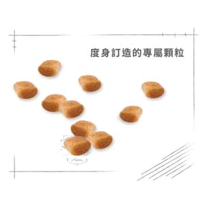 Royal Canin 狗糧 法國皇家狗糧 純種系列 貴婦狗成犬專屬配方 貴婦犬糧 PD30 3kg (3057030010) (圖片6)