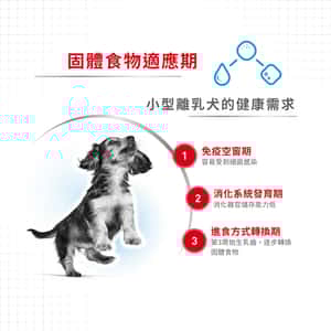 Royal Canin 法國皇家 狗糧 Royal Canin 狗糧 法國皇家狗糧 健康營養系列 小型初生犬及母犬營養配方 小型初生BB糧 MIST 3kg (2990030011)