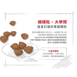 Royal Canin 狗糧 法國皇家狗糧 健康營養系列 小型初生犬及母犬營養配方 小型初生BB糧 MIST 3kg (2990030011) (圖片3)