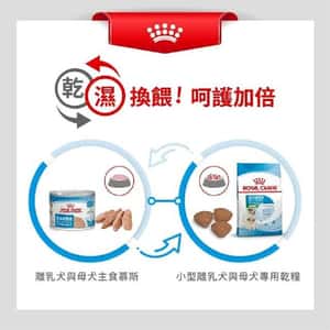 Royal Canin 狗糧 法國皇家狗糧 健康營養系列 小型初生犬及母犬營養配方 小型初生BB糧 MIST 3kg (2990030011) (圖片5)