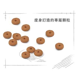 Royal Canin 狗糧 法國皇家狗糧 健康營養系列 小型老犬12+營養配方 小型老犬糧 12+ SPR12 1.5kg (圖片7)