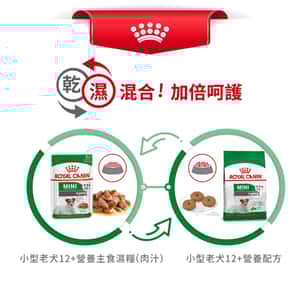 Royal Canin 狗糧 法國皇家狗糧 健康營養系列 小型老犬12+營養配方 小型老犬糧 12+ SPR12 1.5kg (圖片8)