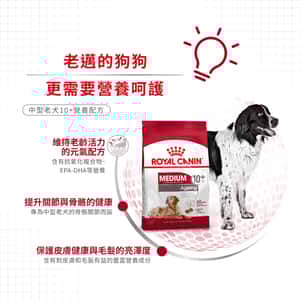 Royal Canin 狗糧 法國皇家狗糧 健康營養系列 中型老犬10+營養配方 中型老犬糧 10+ 3kg (圖片5)