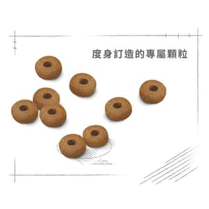 Royal Canin 狗糧 法國皇家狗糧 健康營養系列 中型老犬10+營養配方 中型老犬糧 10+ 3kg (圖片6)