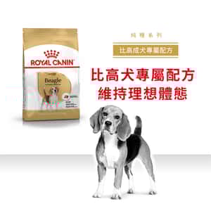 Royal Canin 狗糧 法國皇家狗糧 純種系列 比高成犬專屬配方 比高成犬糧 3kg (2547900) (圖片3)