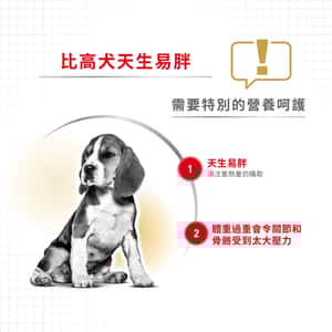 Royal Canin 狗糧 法國皇家狗糧 純種系列 比高成犬專屬配方 比高成犬糧 3kg (2547900) (圖片4)