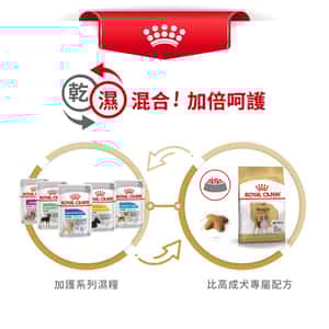 Royal Canin 狗糧 法國皇家狗糧 純種系列 比高成犬專屬配方 比高成犬糧 3kg (2547900) (圖片7)