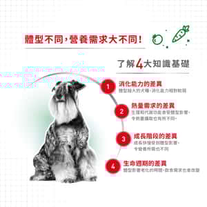 Royal Canin 法國皇家 狗濕糧 小型成犬營養主食濕糧 (肉汁) 85g (圖片4)