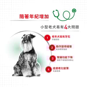 Royal Canin 法國皇家 狗濕糧 小型老犬8+營養主食濕糧 (肉汁) 85g (圖片3)