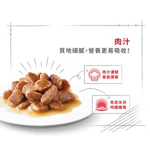 Royal Canin 法國皇家 狗濕糧 小型老犬8+營養主食濕糧 (肉汁) 85g (圖片4)