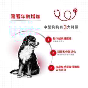 Royal Canin 法國皇家 狗濕糧 精煮肉汁 中型老犬配方7+ 140g (圖片3)