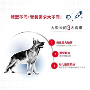 Royal Canin 法國皇家 狗濕糧 成犬營養主食濕糧(肉汁) 15個月大至8歲 140g (2701300/4020401) (圖片5)