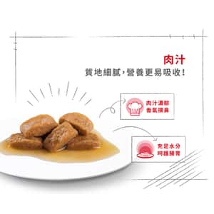 Royal Canin 法國皇家 狗濕糧 大型老犬8+營養主食濕糧 (肉汁) 140g (3173400) (圖片6)