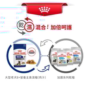 Royal Canin 法國皇家 狗濕糧 大型老犬8+營養主食濕糧 (肉汁) 140g (3173400) (圖片7)