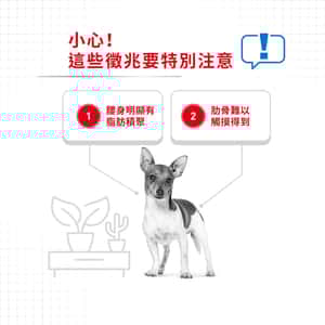 Royal Canin 法國皇家 狗濕糧 成犬體重控制加護主食濕糧 (肉塊) 85g (圖片4)