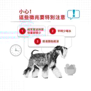 Royal Canin 法國皇家 狗濕糧 成犬泌尿道加護主食濕糧 (肉塊) 85g (圖片4)