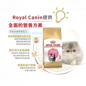 Royal Canin 貓糧 法國皇家貓糧 純種系列 波斯幼貓專屬配方 KPS32 2kg (2554020011) (圖片4)